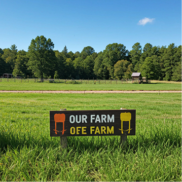 Locally sourced fresh produce